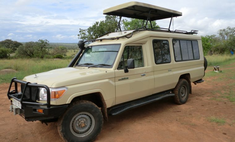 Safari Jeep