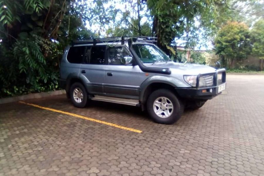 Toyota Landcruiser TX  Prado